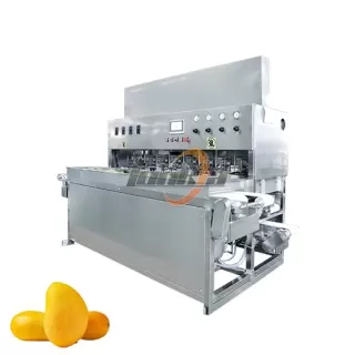 Mango Peeling Machine