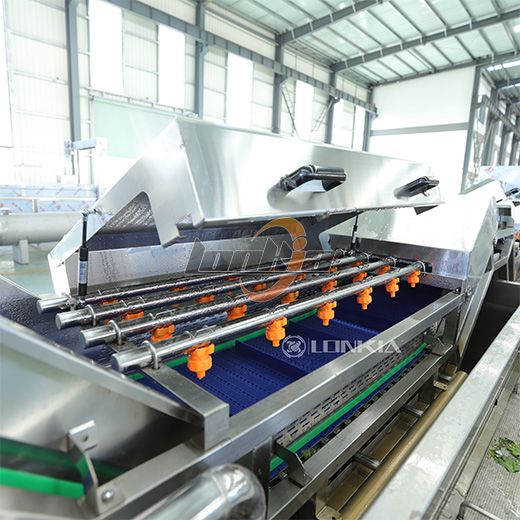 Leaf Vegetables Non Destructive Washer