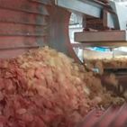 Seasoning