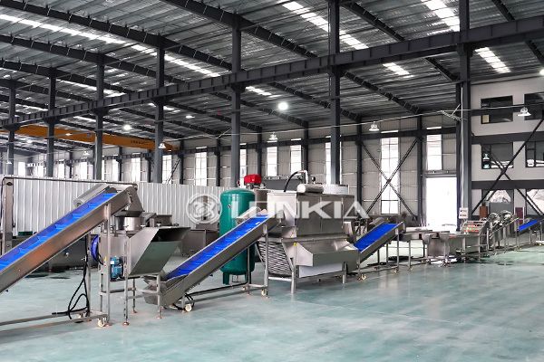1000kg/H Automatic Garlic Peeling Machine Processing Line: Enhance Efficiency and Productivity