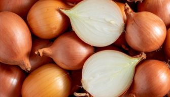 Onion