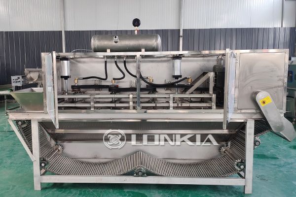 What equipment does the garlic processing line have?