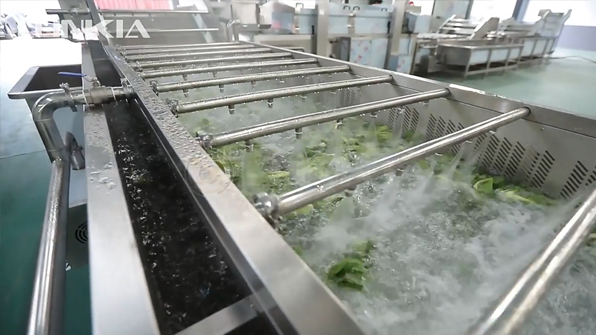 Fruit Vegetable Bubble Washer Video