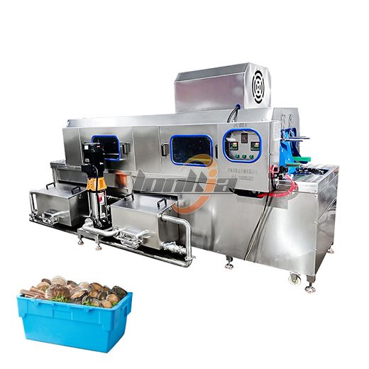Fish & Seafood Crate Washer