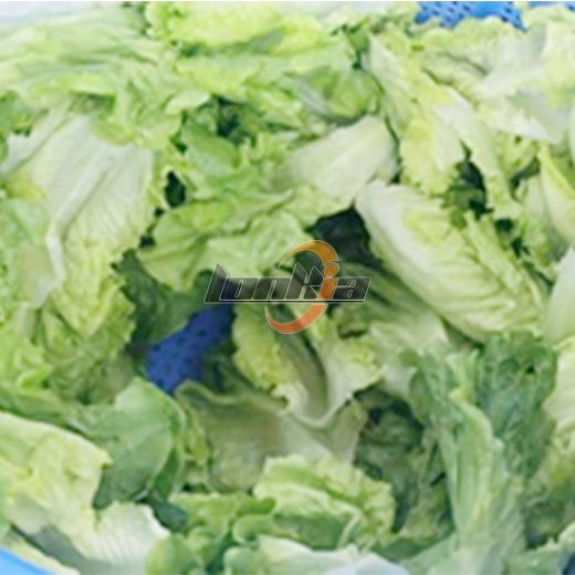 Centrifugal Dehydrator Machine