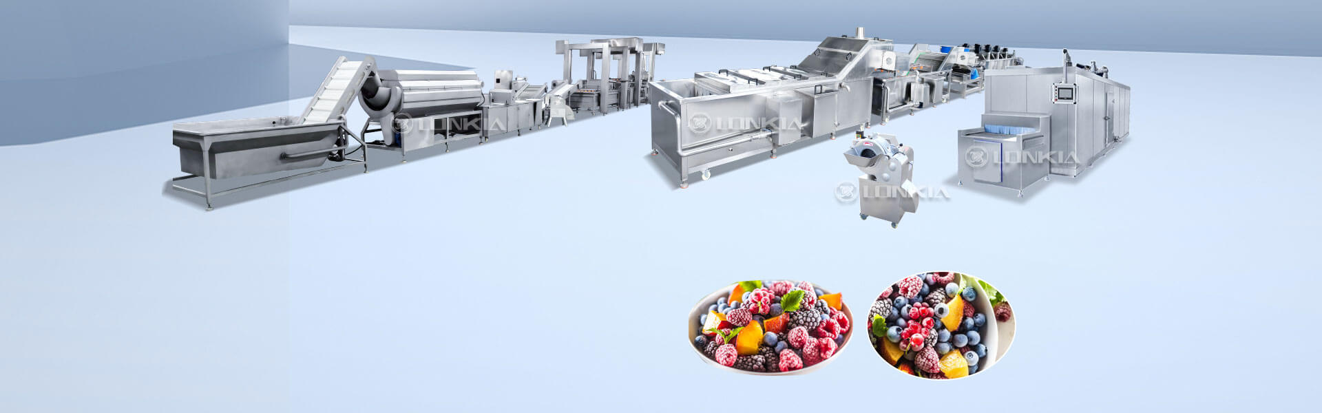 Frozen Fruit Processing Line