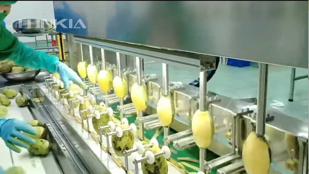 Mango Peeling Machine Video