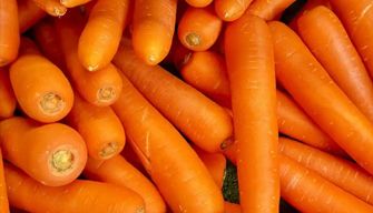 Carrot