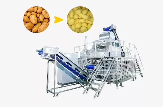 Steam Peeling Machine