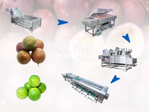 Passion Fruit Washing and Grading Line