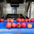 Steam Peeling Machine