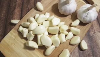 Garlic