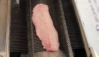 Fillet