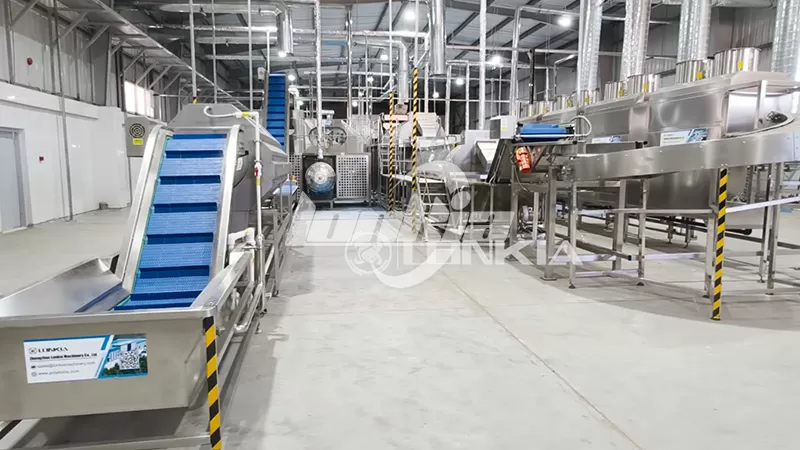 How to Choose the Right Potato Sorting and Grading Line for Your Business?