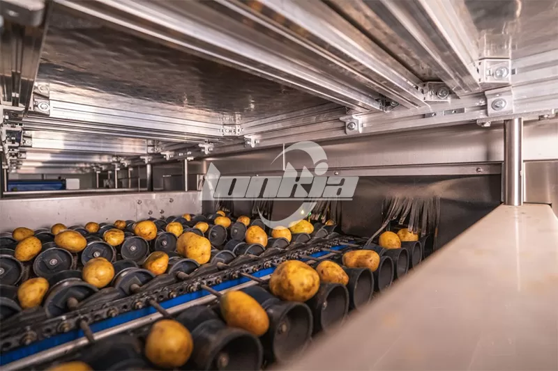 Potato Sorting and Grading Line