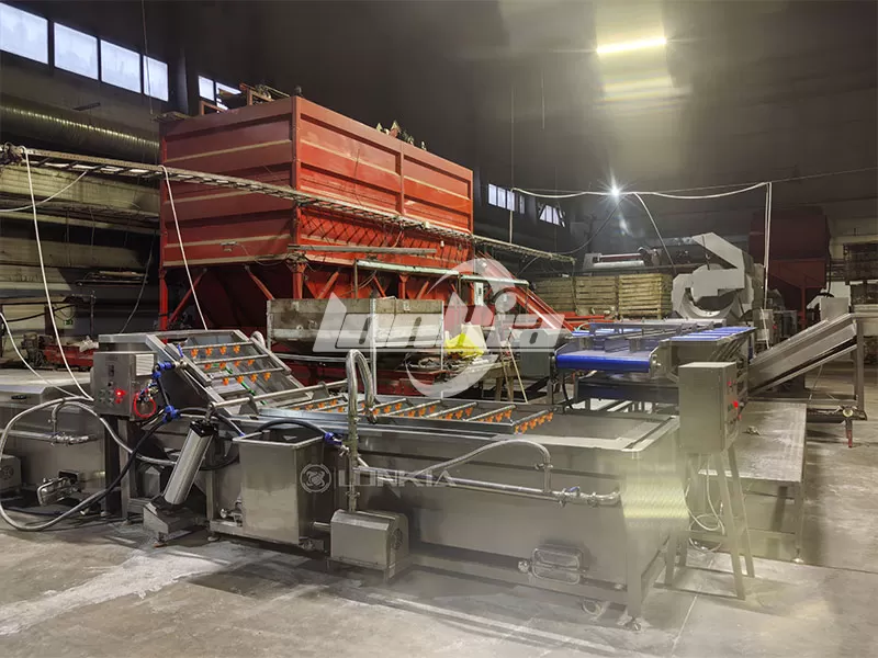 Potato Sorting and Grading Line2