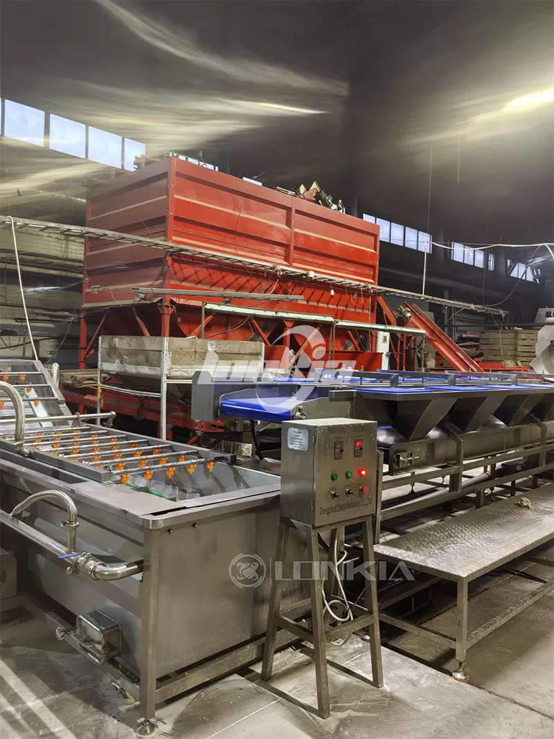 How Does a Potato Sorting and Grading Line Improve Processing Efficiency?