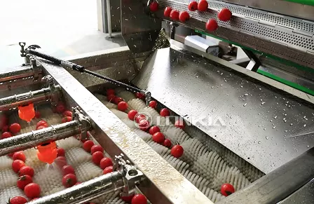2t Cherry Tomato Washing and Air-Drying Line in Israel(October 2025)