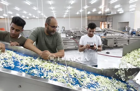 1.5t Salad Processing Line in Jordan(July 2025)