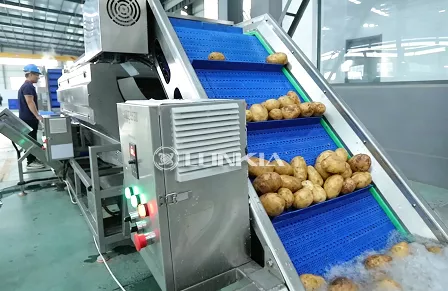 2t Potato Washing and Cutting Line in Romania(September 2025)