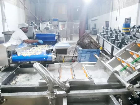 Salad Processing Line Projects