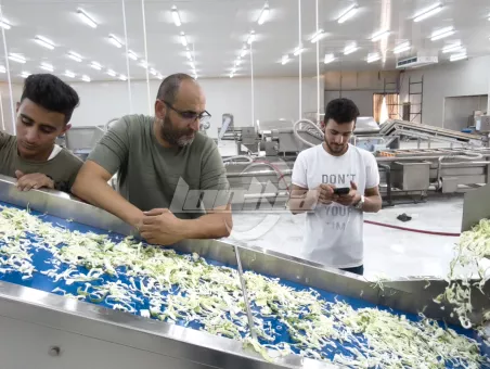 Salad Processing Line Projects