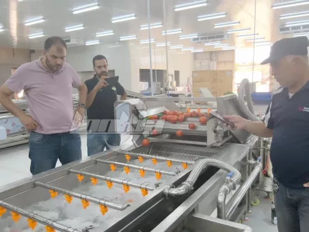 Salad Processing Line Projects