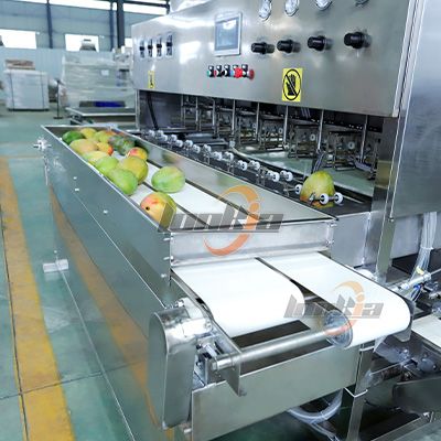 Mango Peeling Machine