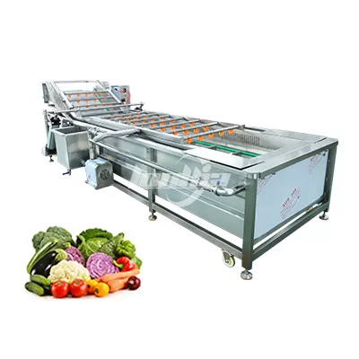 Air Bubble Vegetable Washing Machine