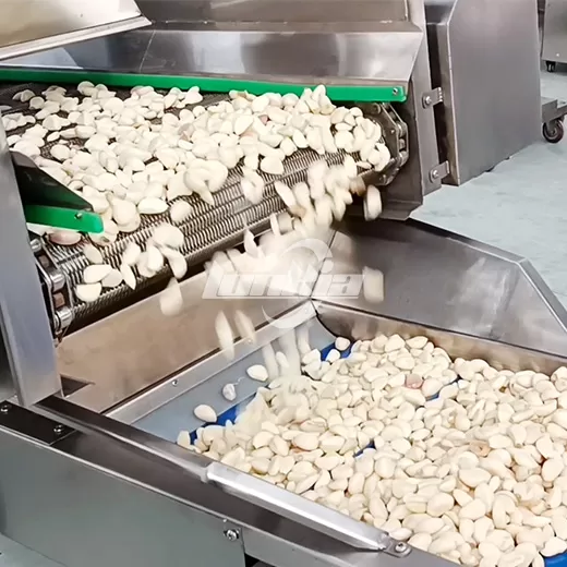 What to Look for Before Investing in a Garlic Peeling Production Line