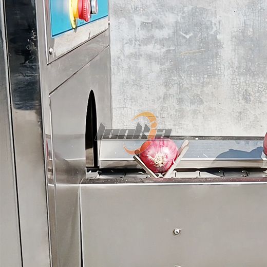 Onion Root Cutting Machine