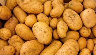 Potato