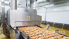 Tunnel Oven