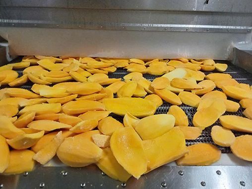 Frozen Mango Processing Line
