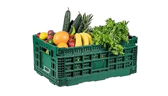 vegetable processing plant