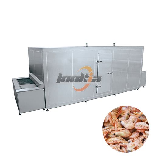 Fish Freezing Machine