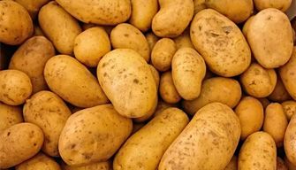 Potato