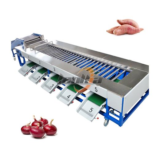 Onion Grading Machine