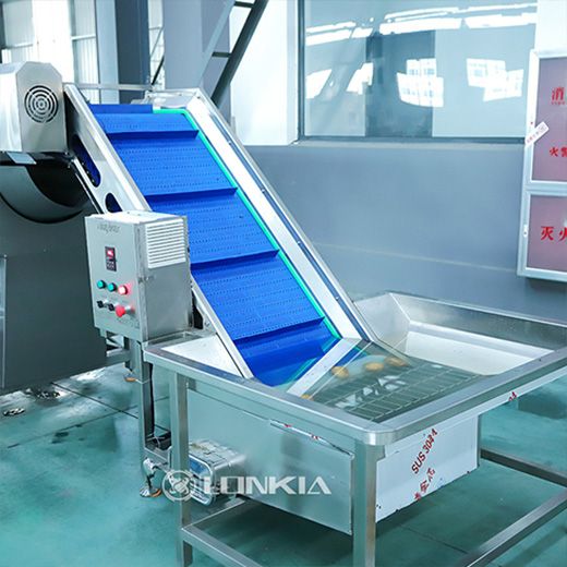 Potato Peeling, Cutting & Blanching Line