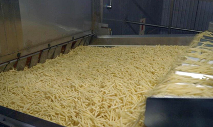 Frozen French Fries Production Line Video