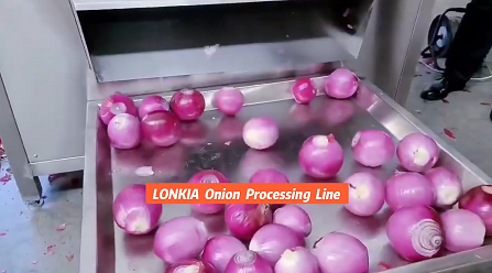 Onion Peeling Machine Video