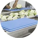 Sorting