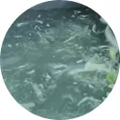 Washing