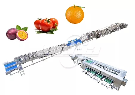 Vegetable Fruit Washing Grading Production Line