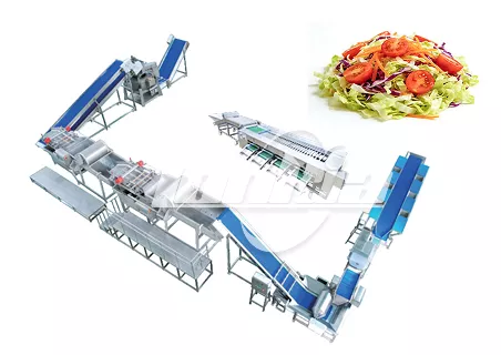 Automatic Salad Vegetable Professional Washing Line