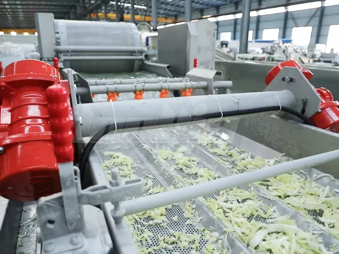 Fresh-Cut / Cut Vegetable Washing Video