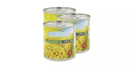 Industrial Retort Machine Applications Canned Corn