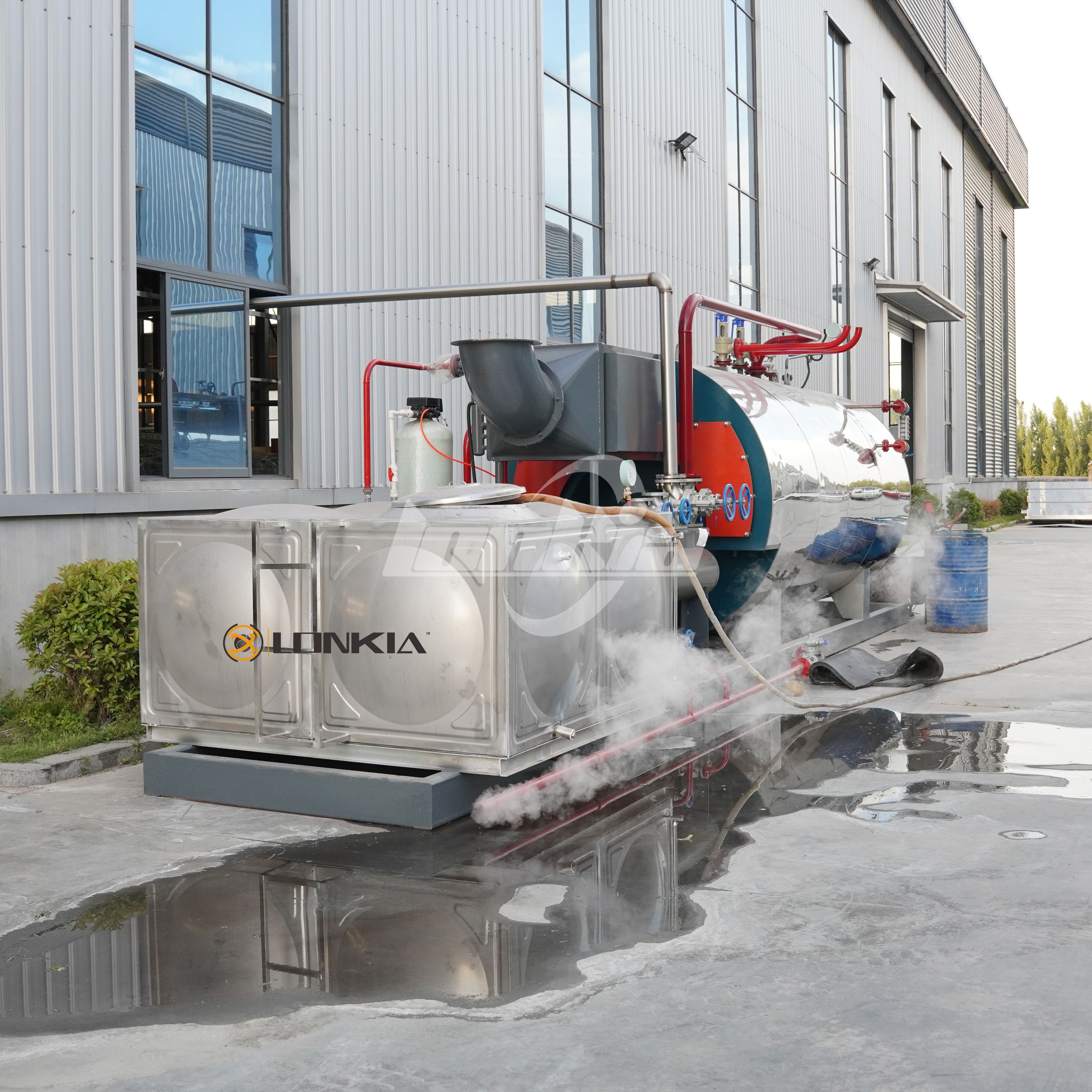 Steam Peeler vs Abrasive Peeler: Which One Should You Choose?
