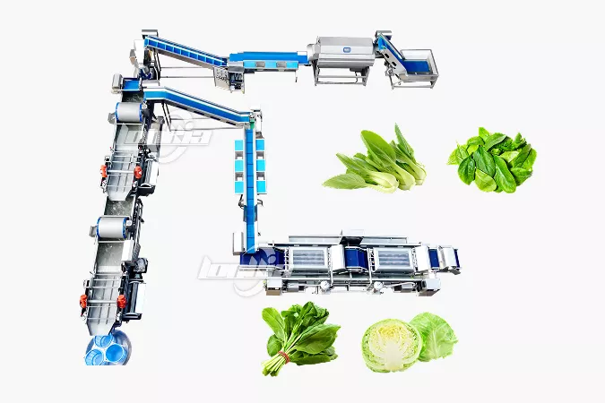 Leaf Vegetables Washing Processing Line