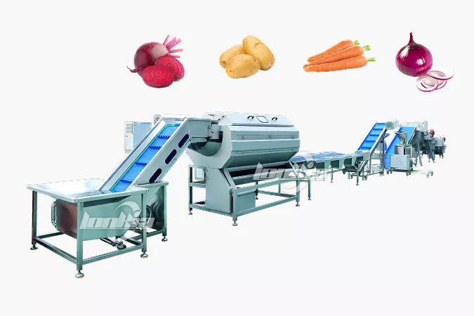 Root Vegetable Processing Line